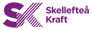Skellefteå Kraft elavtal
